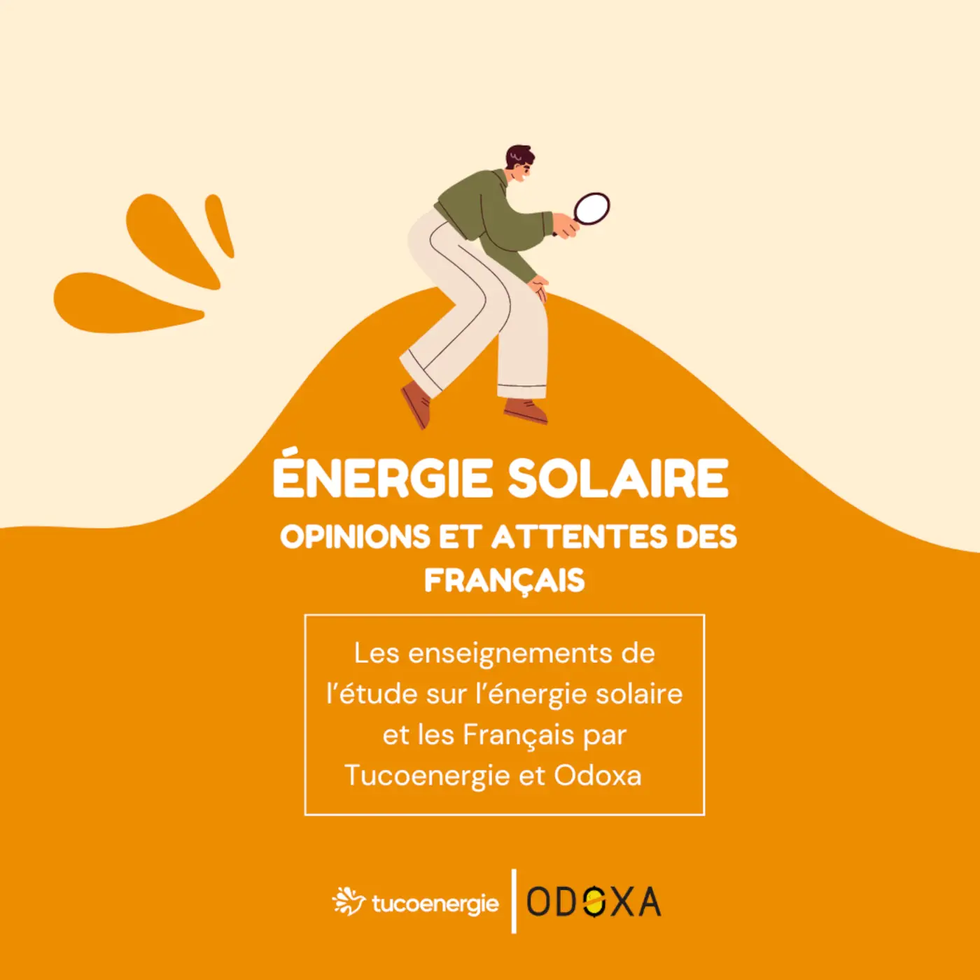energie solaire : opinions et attentes des Français, les enseignements de l'étude sur l'énergie solaire et les Français par Tuco et Odoxa
